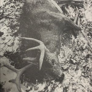 Meet your Posher, Ian